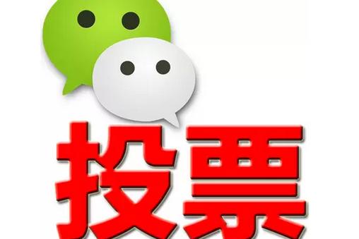 苗栗县微信投票功能开发 上传图片投票